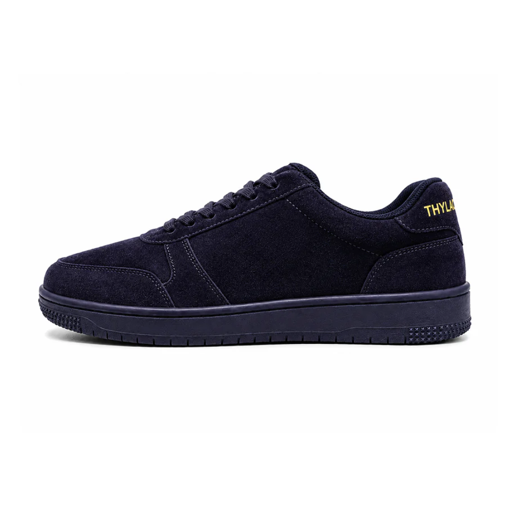 Frost Wolf — Deep Navy & Cream White