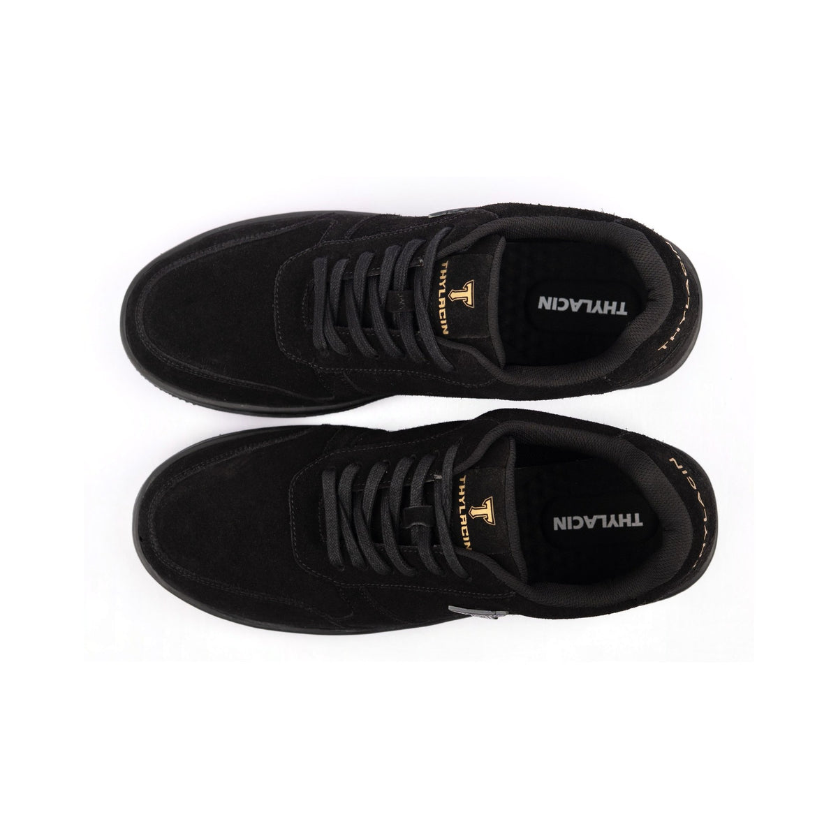 Thylacin Midnight Panther low-top sneakers in all-black suede — top-down view of a pair