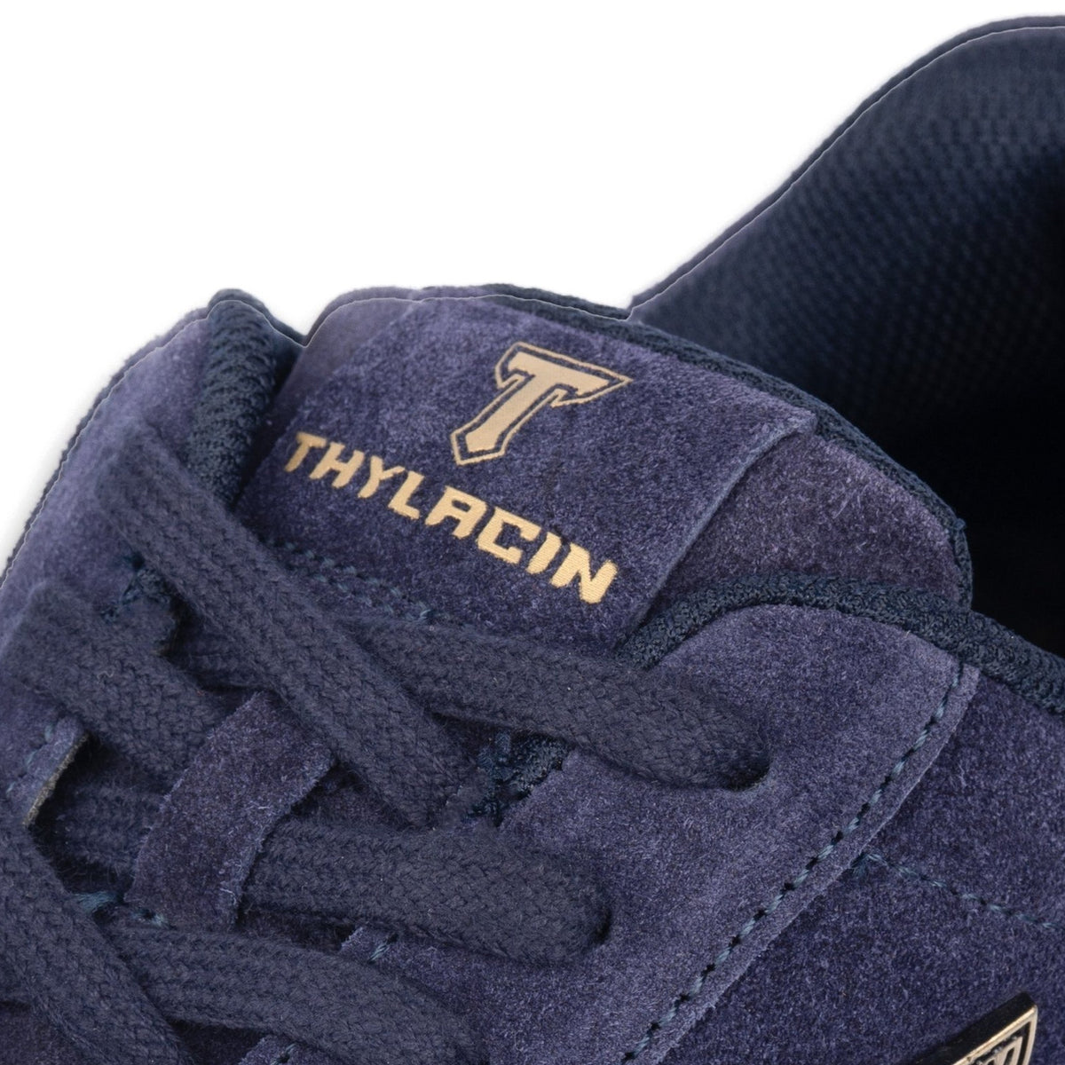 Thylacin Navy Royal low-top sneaker in all-navy suede — close-up of the suede and logo badge on the shoe