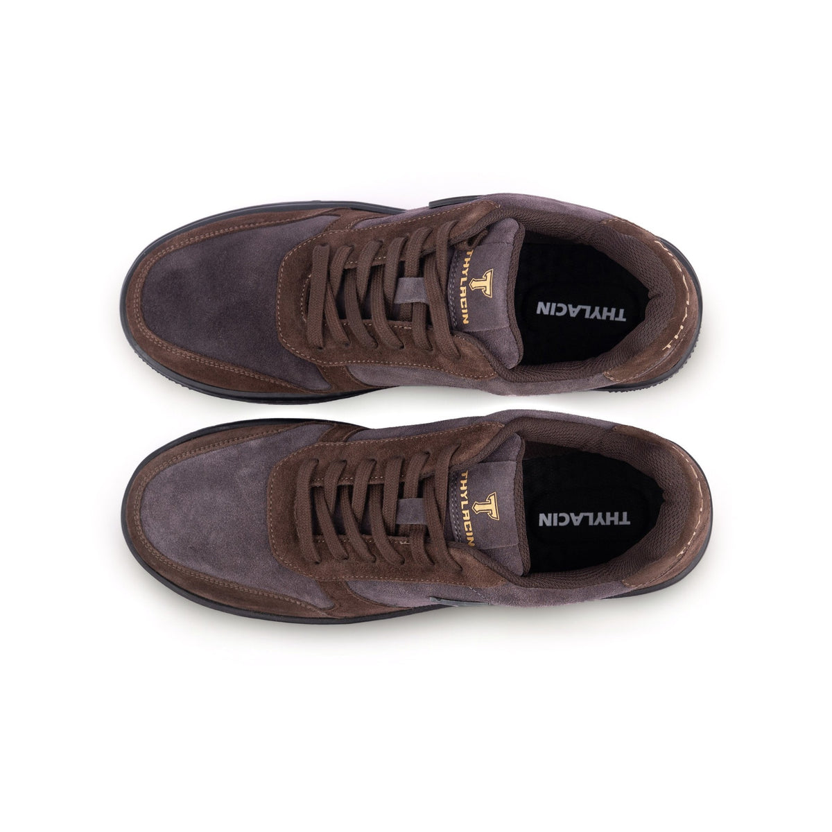 Thylacin Shadow Lynx low-top sneakers in brown and slate suede — top-down view of a pair